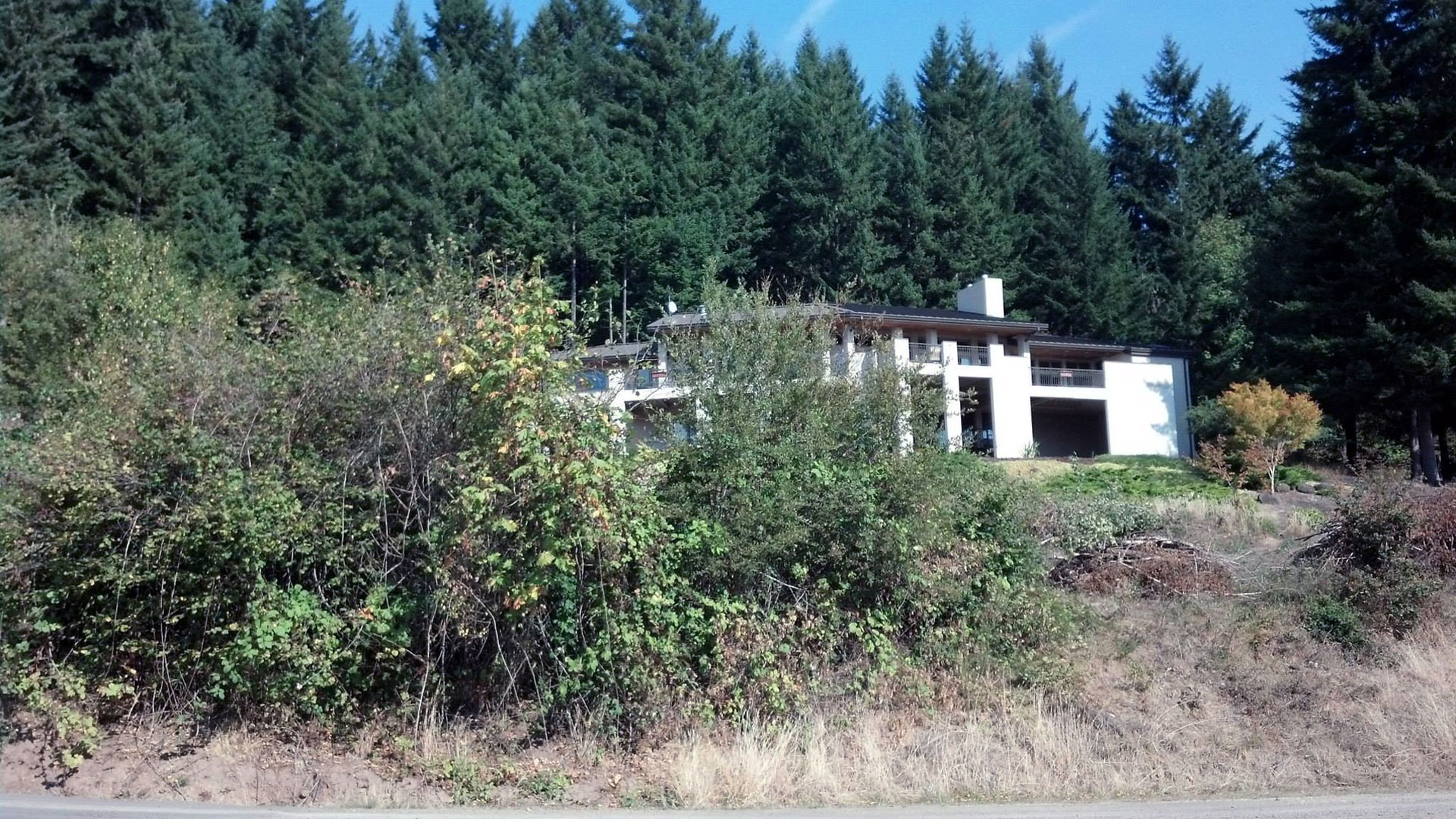 This lot is NOT CLEAR.