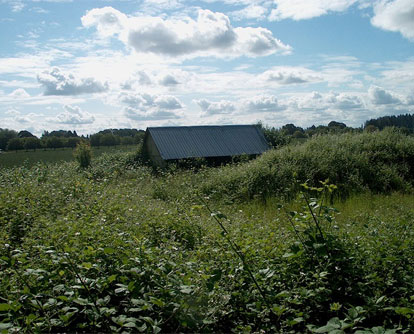 Can you see the building?  You'll be able to see ALL of the building after a visit from Extreme Brush Clearing.